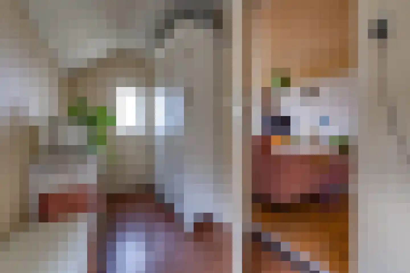 Noorderdiep 190 Nieuw-Buinen thumbnail 7