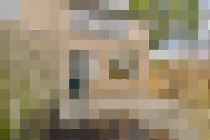 Noorderdiep 2 Zwijndrecht thumbnail 27