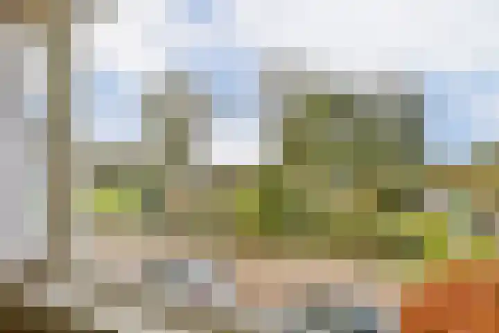 Noorderdiep 2 Zwijndrecht thumbnail 28