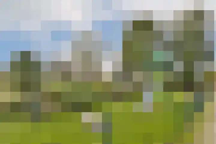 Noorderdiep 2 Zwijndrecht thumbnail 30