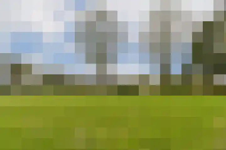 Noorderdiep 2 Zwijndrecht thumbnail 32