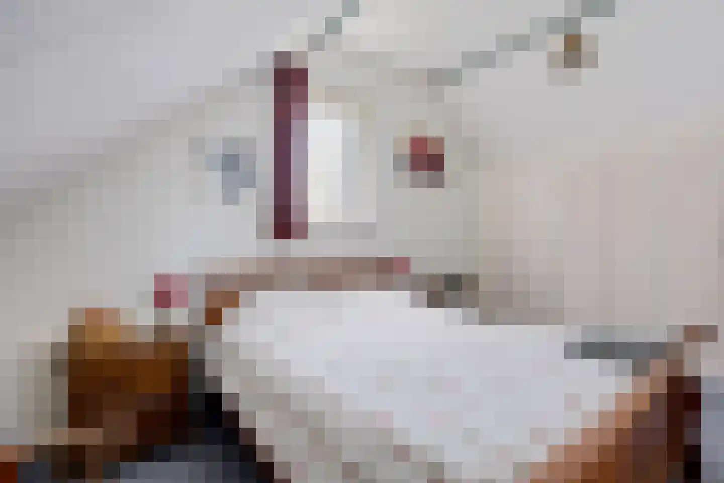 Noorderdiep 24 2e Exloërmond thumbnail 35