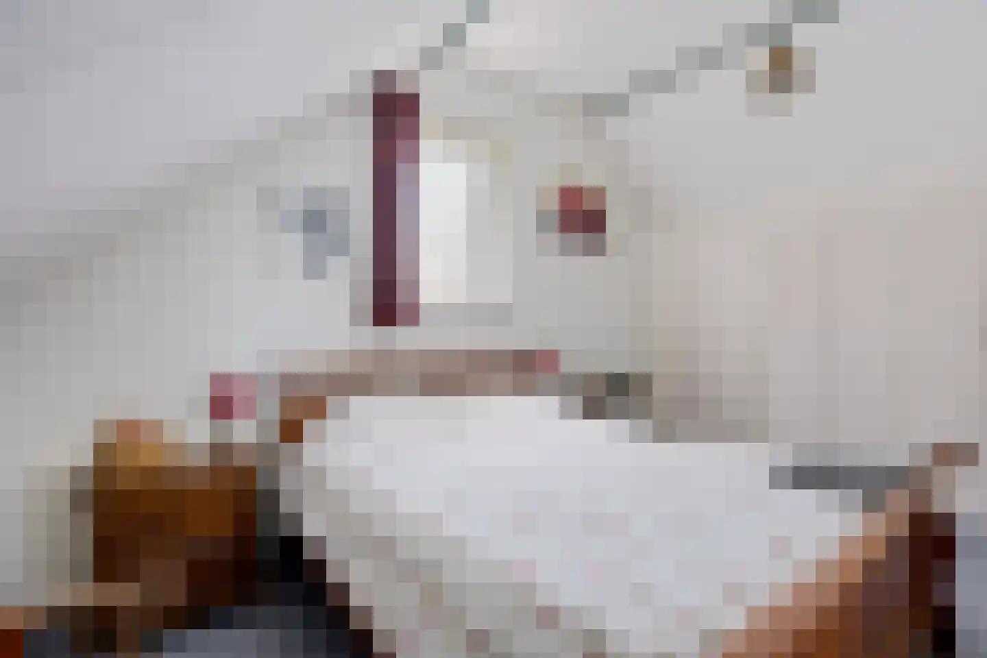 Noorderdiep 24 2e Exloërmond thumbnail 35