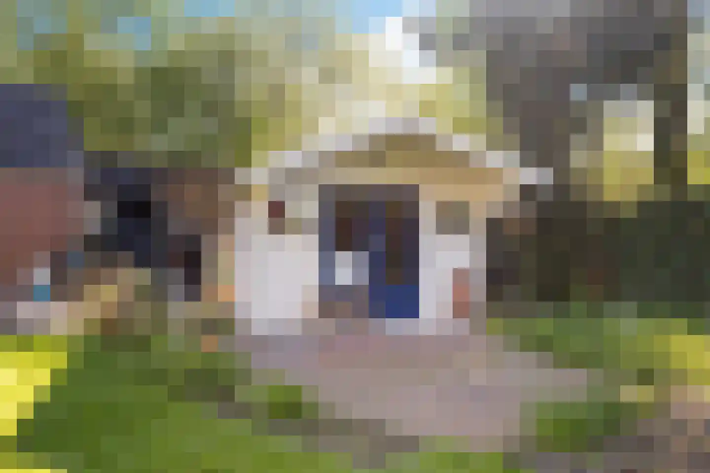 Noorderdiep 24 2e Exloërmond thumbnail 42