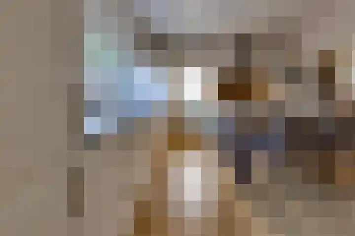 Noorderdiep 246 Nieuw-Buinen thumbnail 13