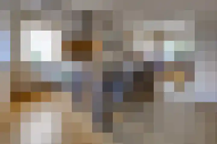 Noorderdiep 246 Nieuw-Buinen thumbnail 14