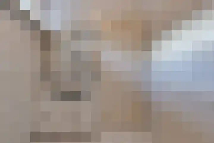 Noorderdiep 246 Nieuw-Buinen thumbnail 21