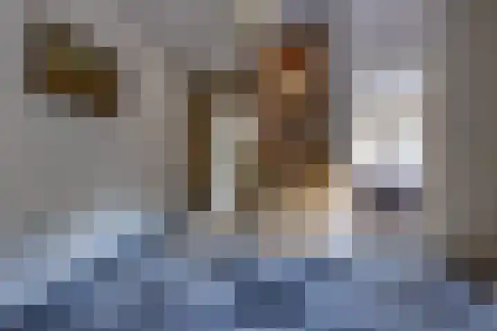 Noorderdiep 246 Nieuw-Buinen thumbnail 22