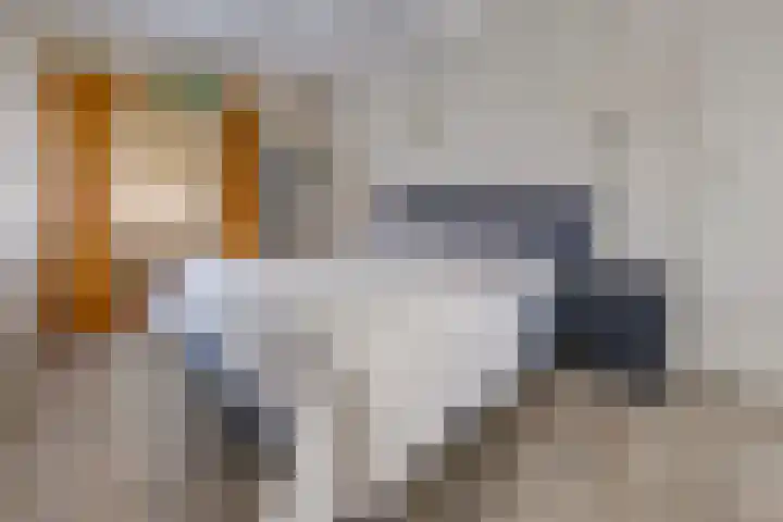 Noorderdiep 246 Nieuw-Buinen thumbnail 24