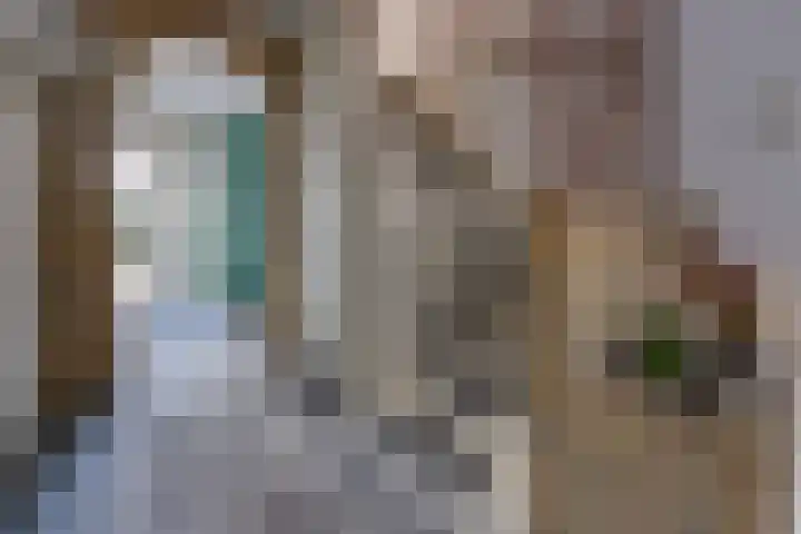 Noorderdiep 246 Nieuw-Buinen thumbnail 25