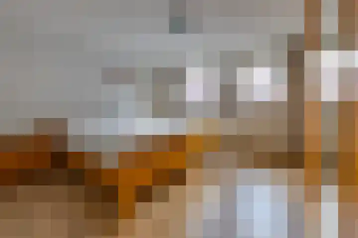 Noorderdiep 246 Nieuw-Buinen thumbnail 30