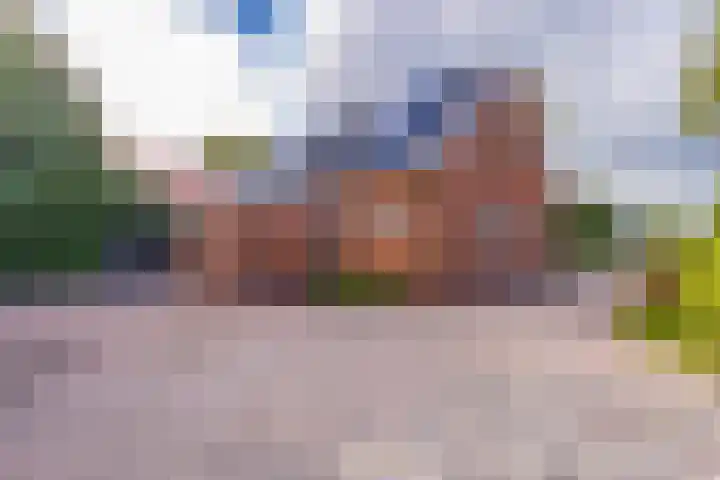 Noorderdiep 246 Nieuw-Buinen thumbnail 36