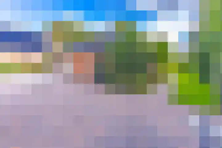 Noorderdiep 246 Nieuw-Buinen thumbnail 40