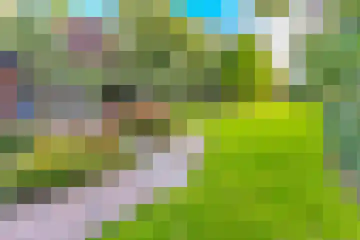 Noorderdiep 246 Nieuw-Buinen thumbnail 41
