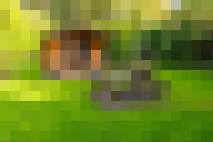Noorderdiep 246 Nieuw-Buinen thumbnail 43