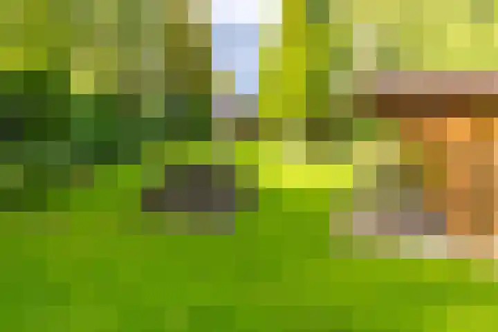 Noorderdiep 246 Nieuw-Buinen thumbnail 44