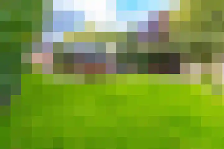 Noorderdiep 246 Nieuw-Buinen thumbnail 45