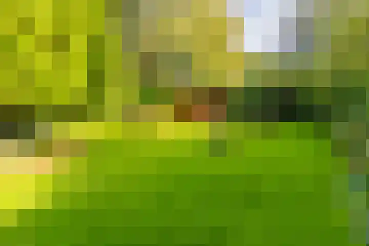 Noorderdiep 246 Nieuw-Buinen thumbnail 5