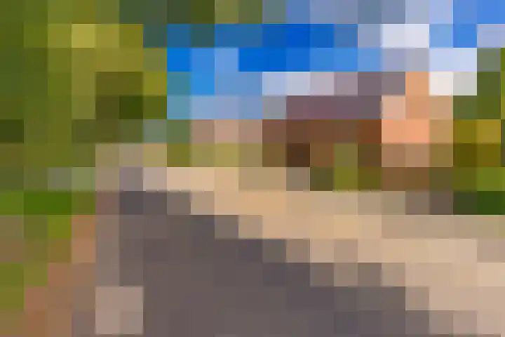 Noorderdiep 246 Nieuw-Buinen thumbnail 8
