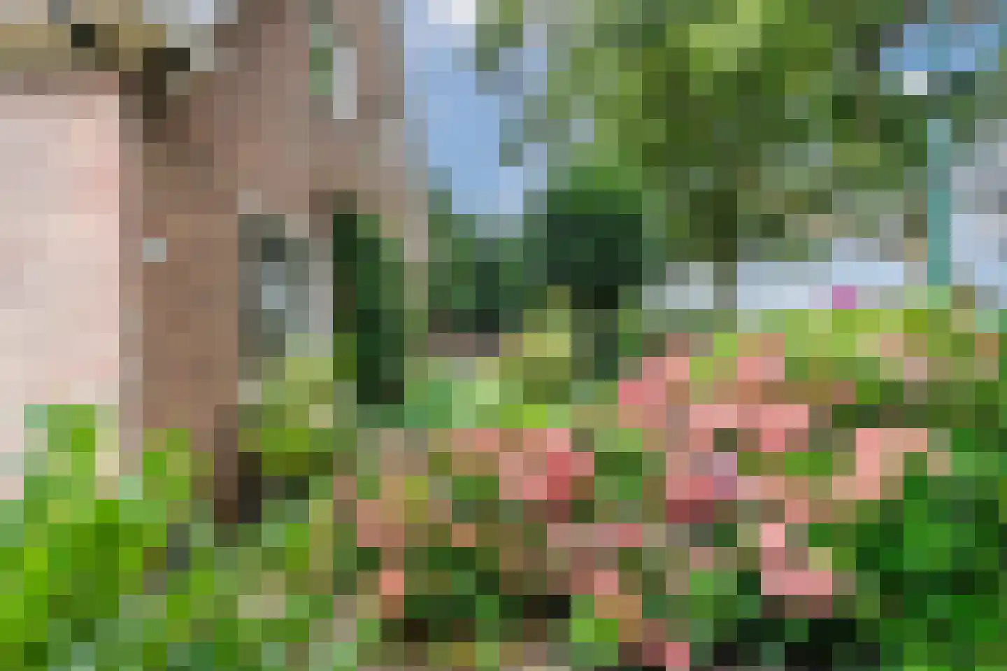 Noorderdiep 256 Nieuw-Buinen thumbnail 10