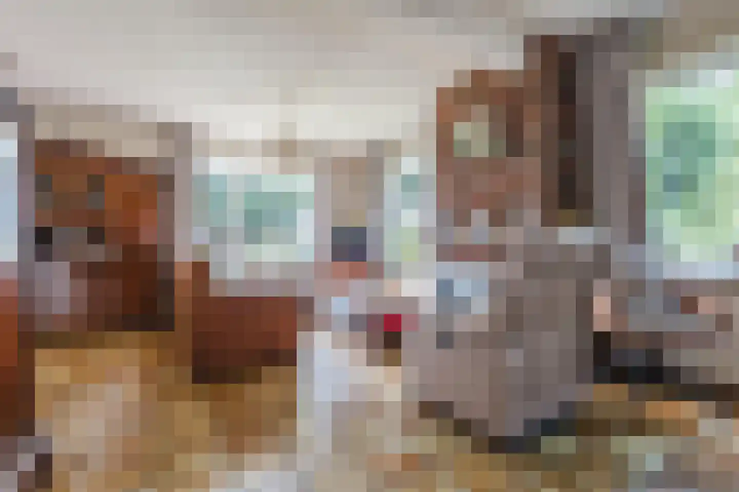 Noorderdiep 256 Nieuw-Buinen thumbnail 13