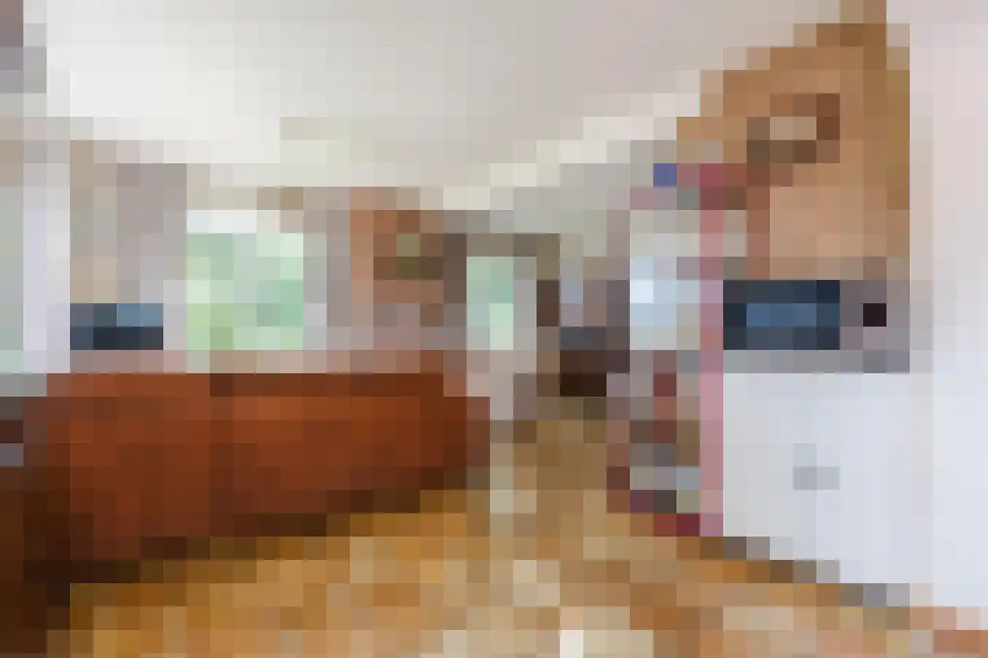 Noorderdiep 256 Nieuw-Buinen thumbnail 15