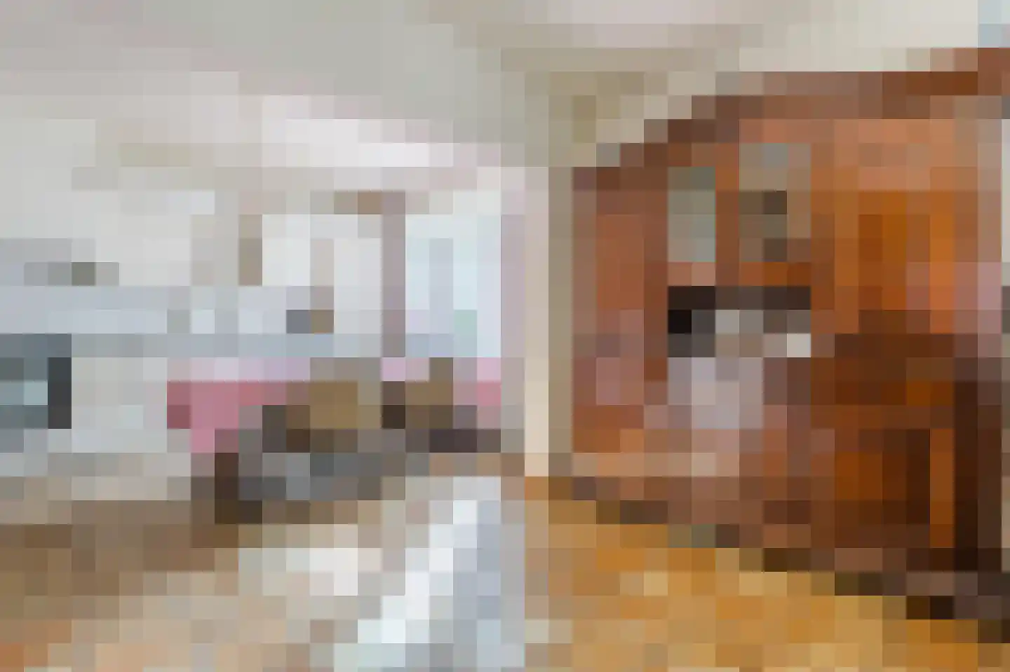 Noorderdiep 256 Nieuw-Buinen thumbnail 17