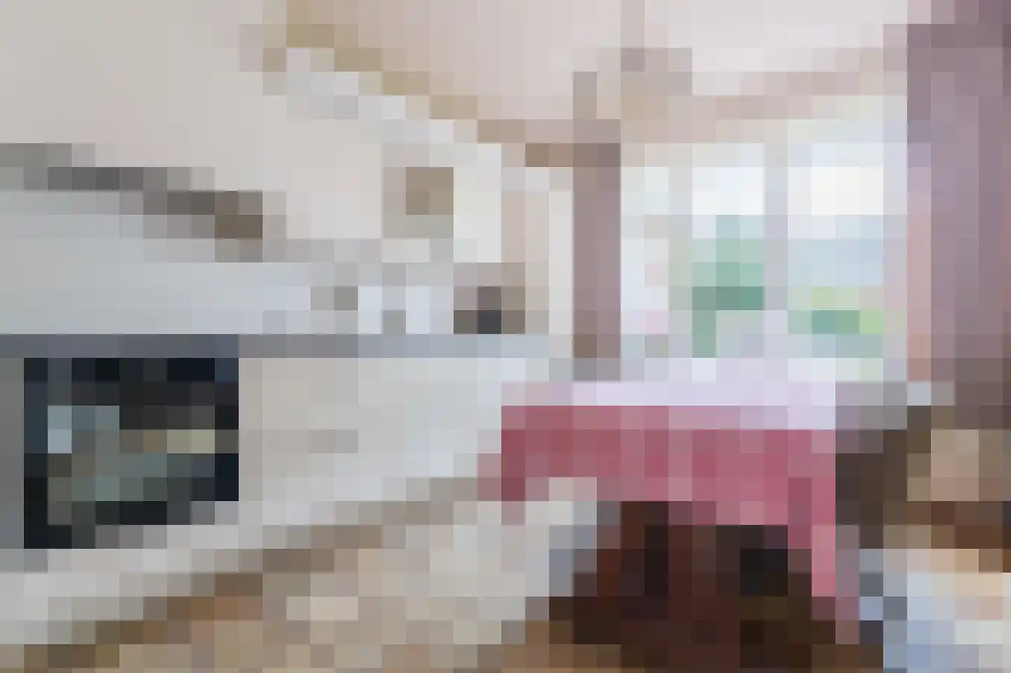 Noorderdiep 256 Nieuw-Buinen thumbnail 20