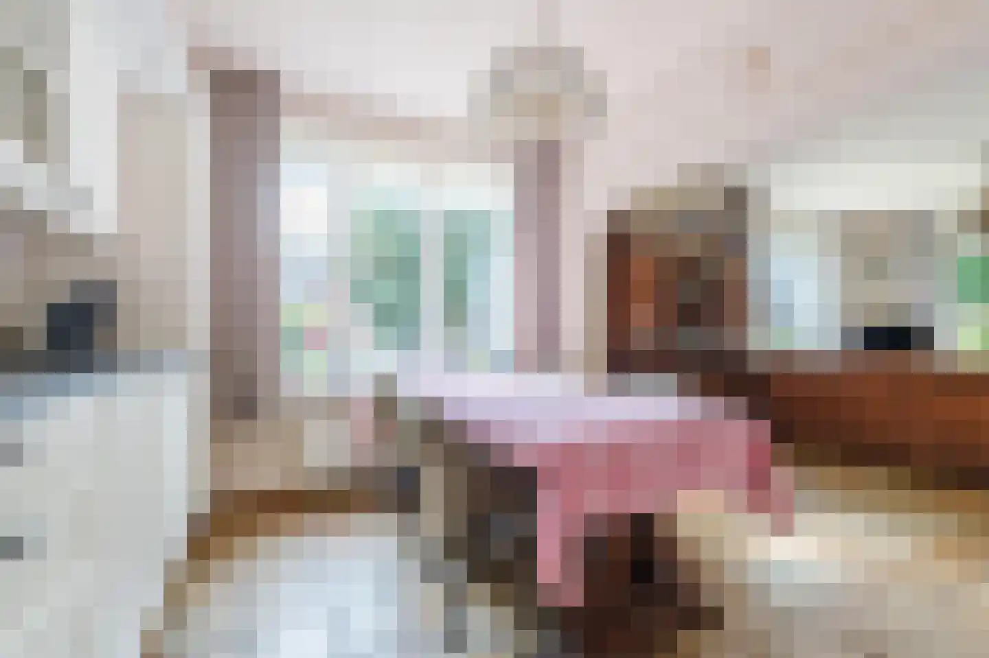 Noorderdiep 256 Nieuw-Buinen thumbnail 22