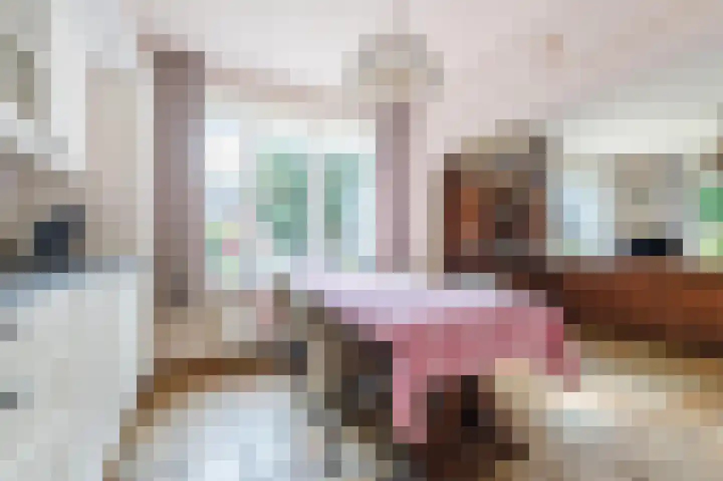 Noorderdiep 256 Nieuw-Buinen thumbnail 22