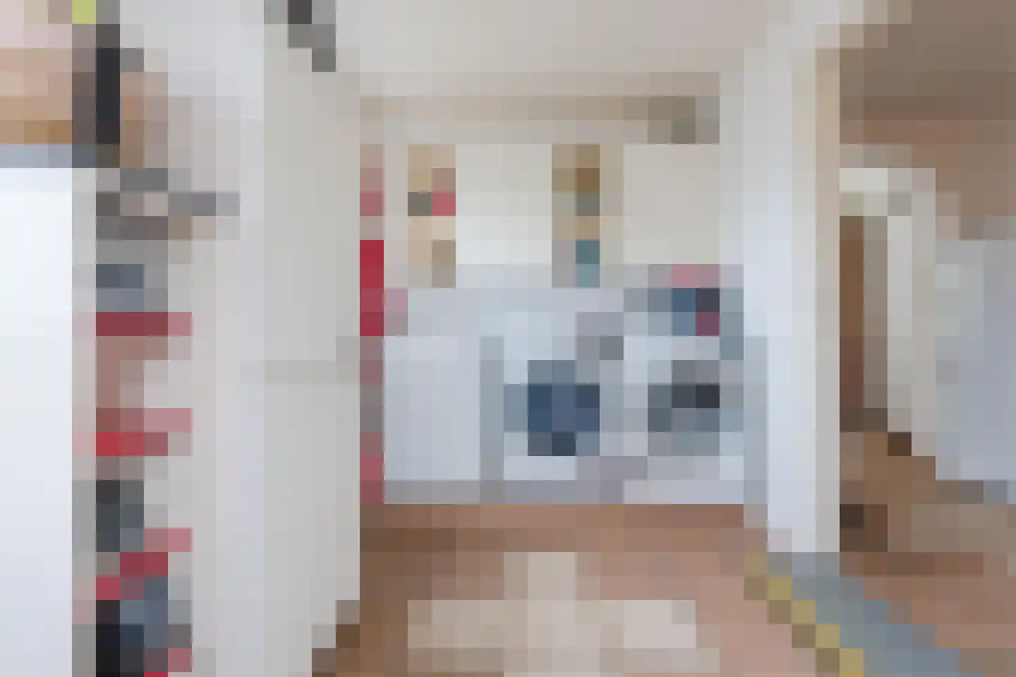 Noorderdiep 256 Nieuw-Buinen thumbnail 23