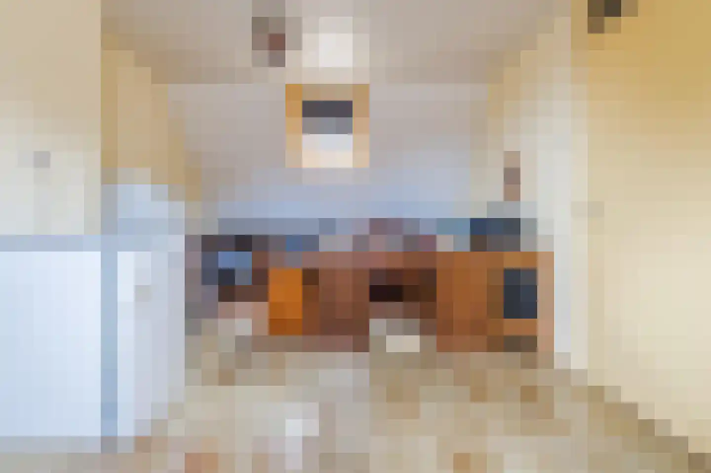 Noorderdiep 256 Nieuw-Buinen thumbnail 38