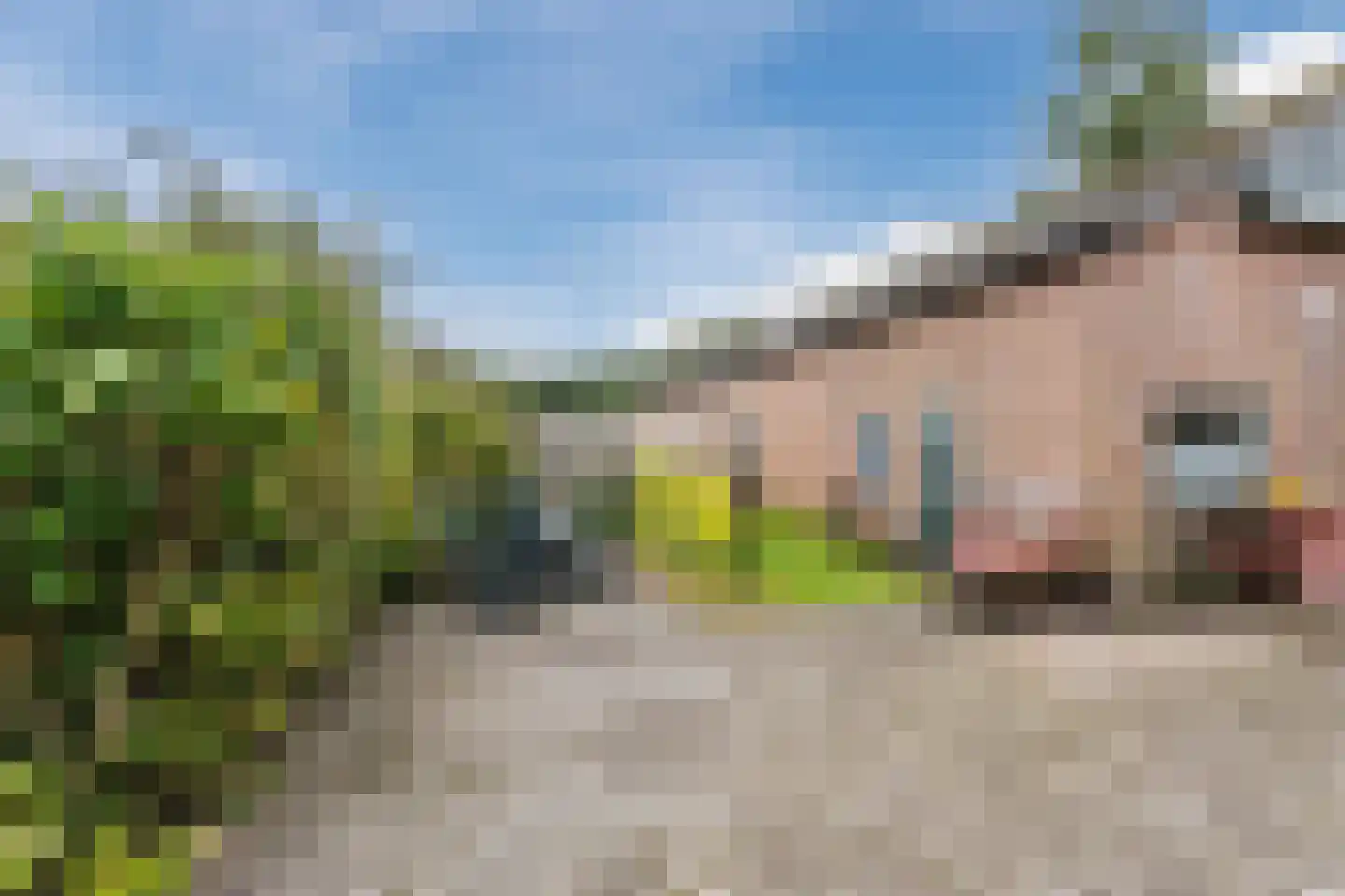 Noorderdiep 256 Nieuw-Buinen thumbnail 44