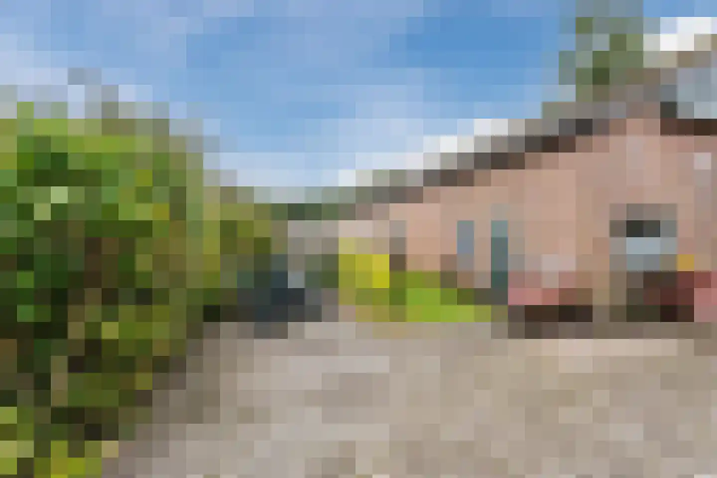 Noorderdiep 256 Nieuw-Buinen thumbnail 44