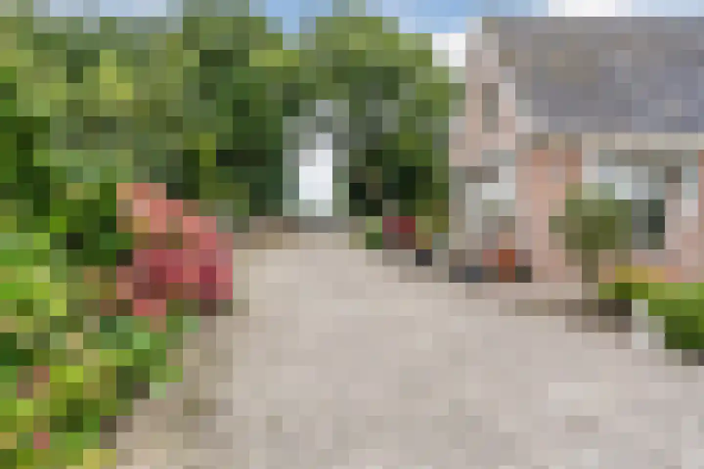 Noorderdiep 256 Nieuw-Buinen thumbnail 45