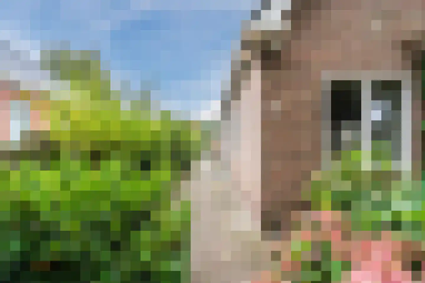 Noorderdiep 256 Nieuw-Buinen thumbnail 9