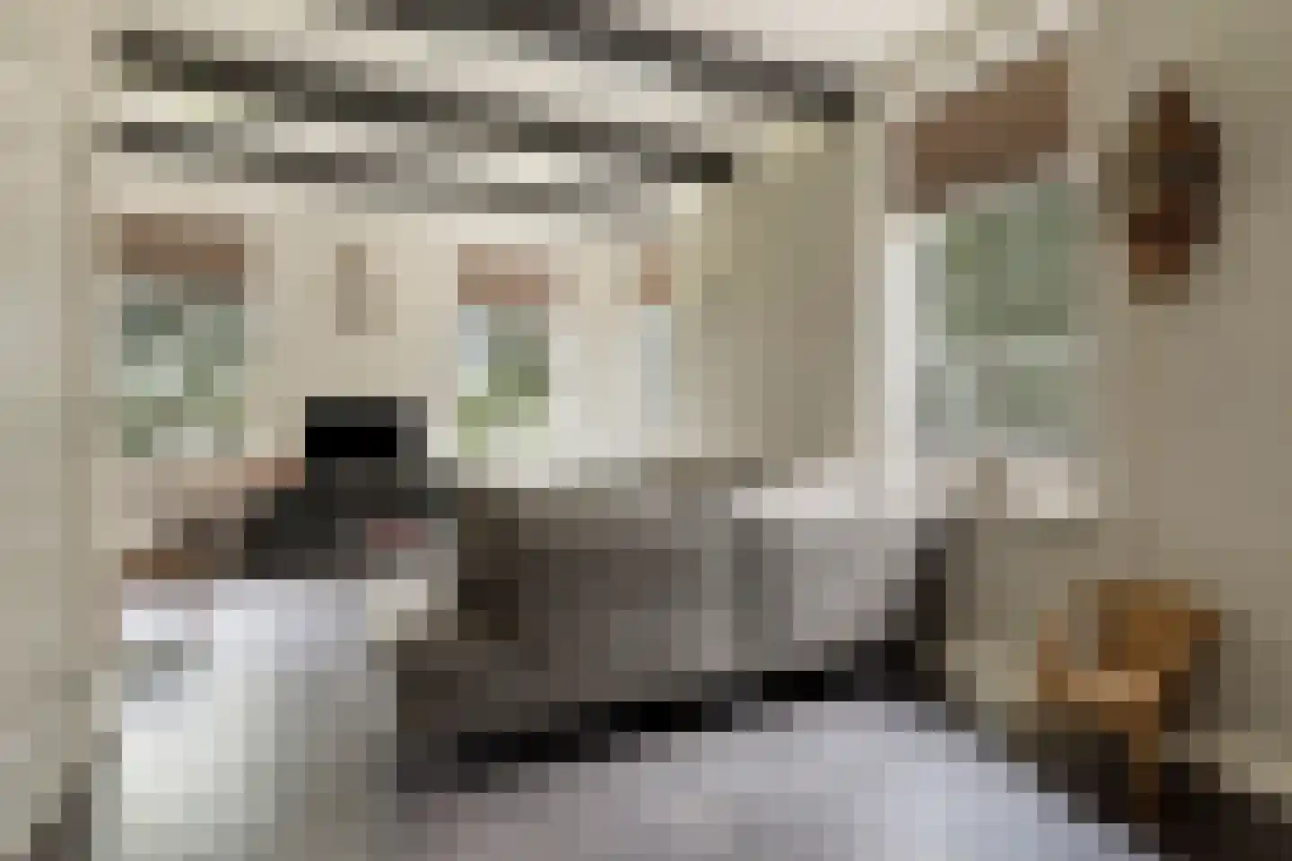 Noorderdiep 27 Stadskanaal thumbnail 12
