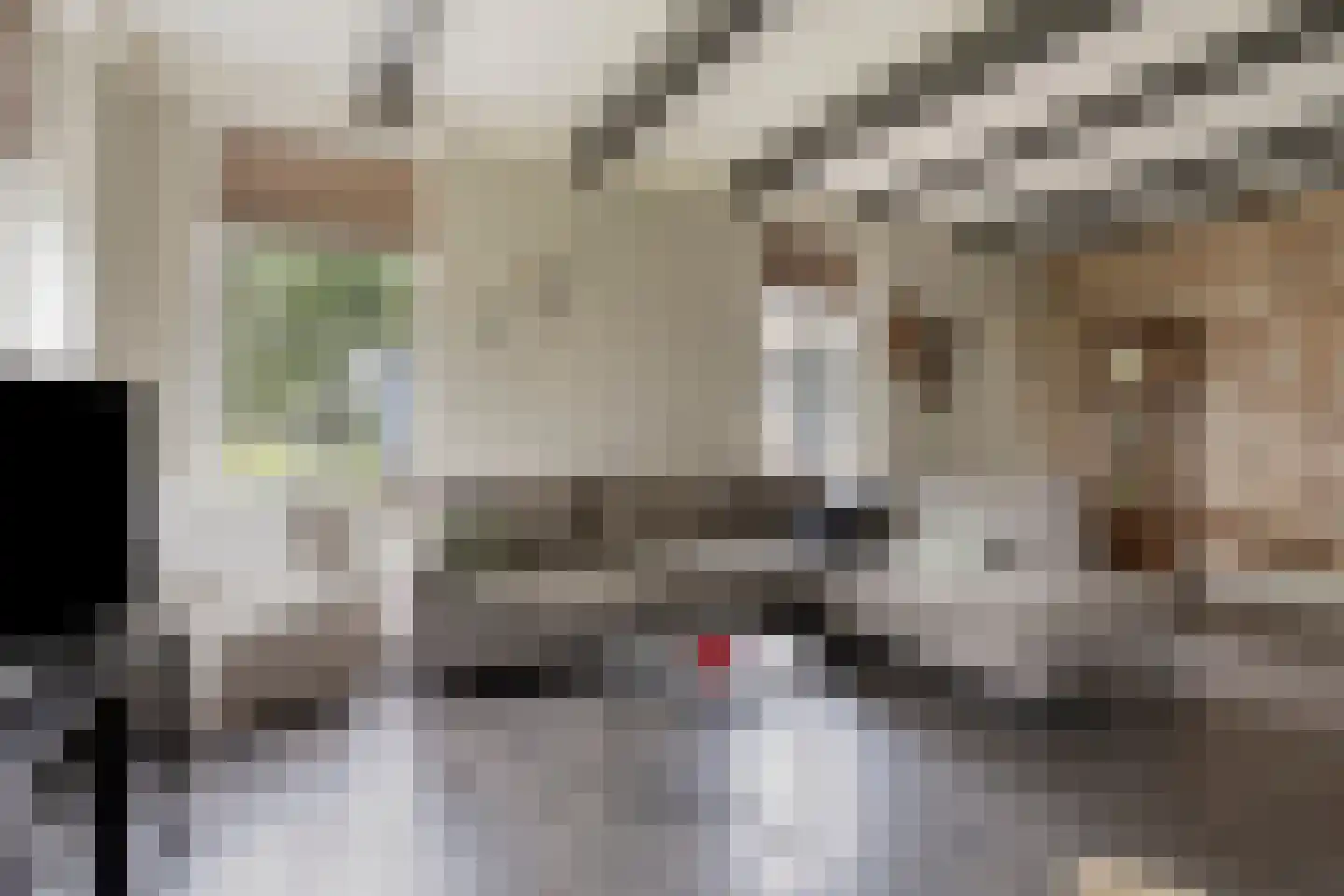 Noorderdiep 27 Stadskanaal thumbnail 14