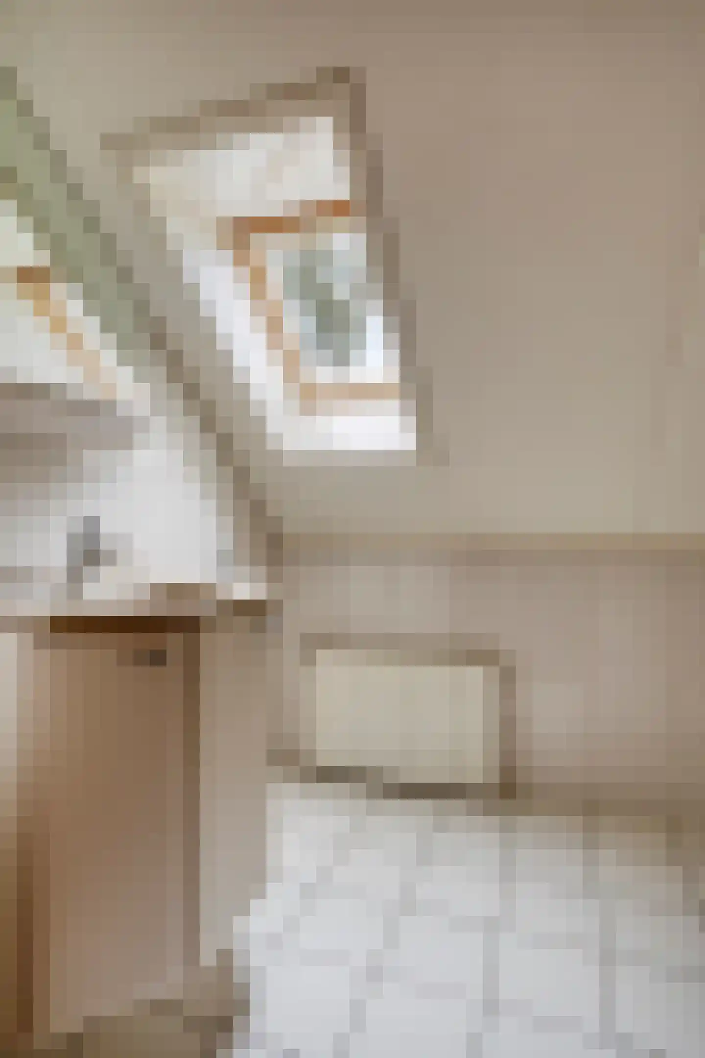 Noorderdiep 27 Stadskanaal thumbnail 33