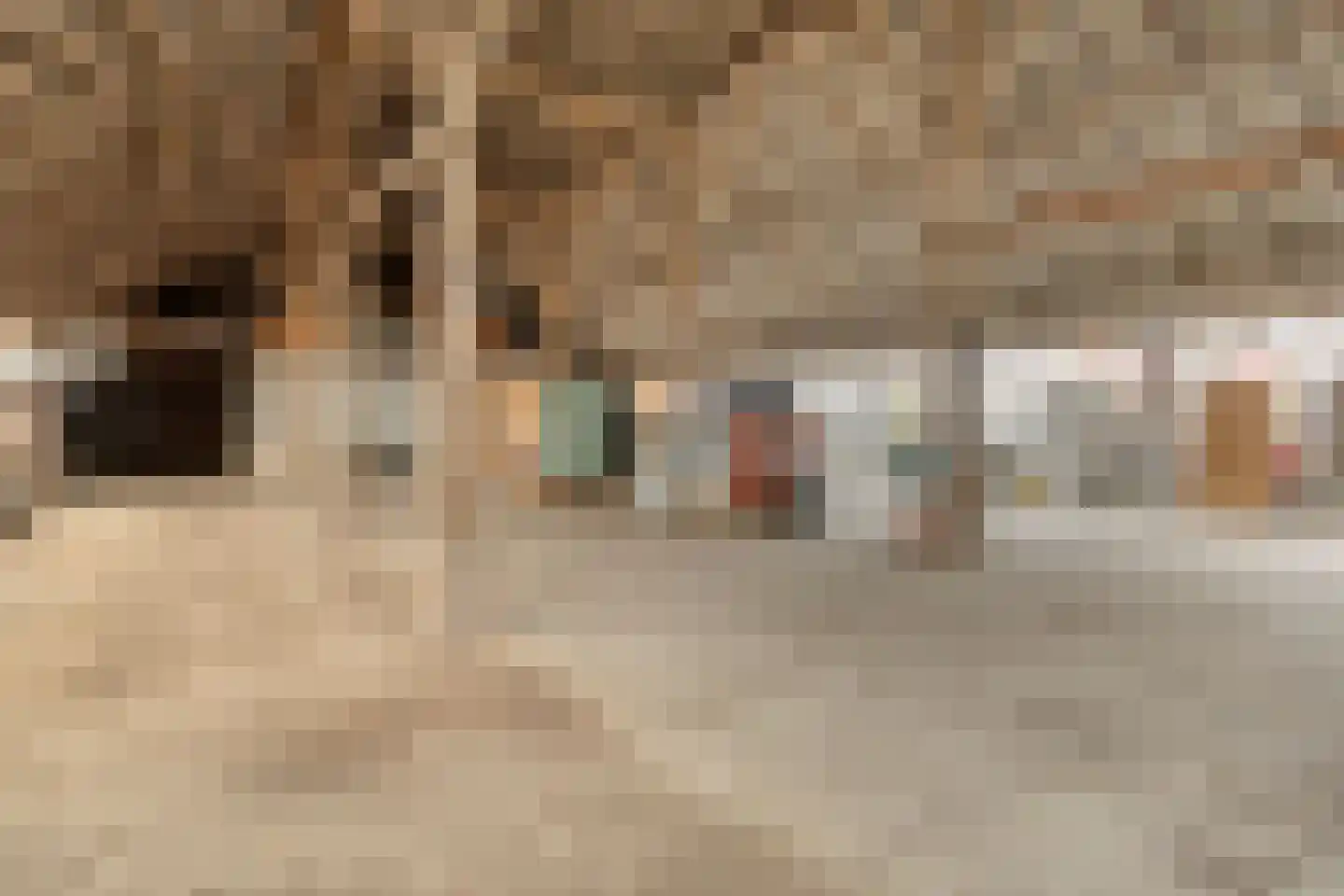 Noorderdiep 27 Stadskanaal thumbnail 39