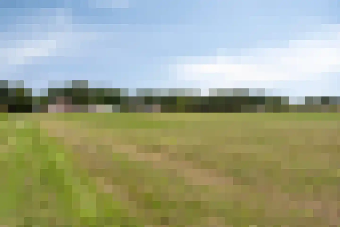 Noorderdiep 27 Stadskanaal thumbnail 4
