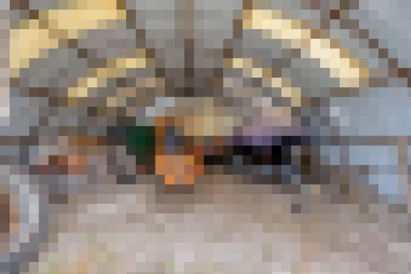 Noorderdiep 27 Stadskanaal thumbnail 46