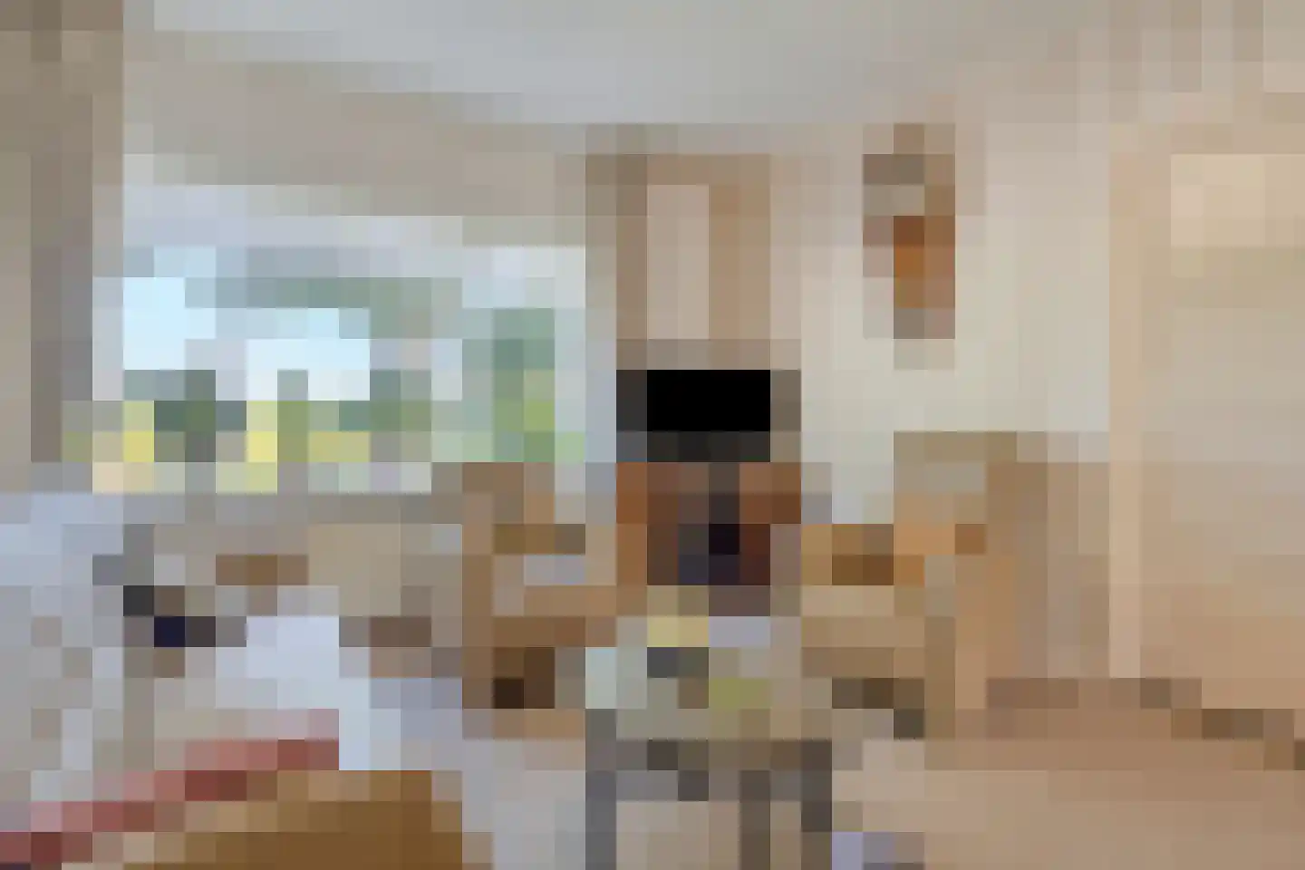 Noorderdiep 272 Nieuw-Buinen thumbnail 18
