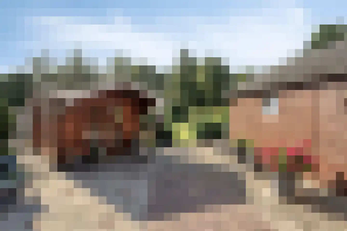 Noorderdiep 272 Nieuw-Buinen thumbnail 9