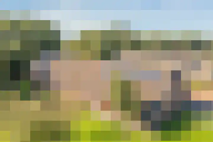 Noorderdiep 29 Stadskanaal thumbnail 36