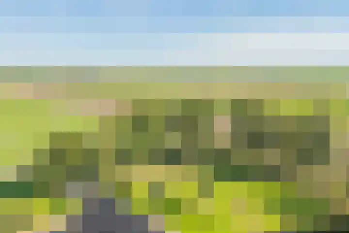 Noorderdiep 29 Stadskanaal thumbnail 4
