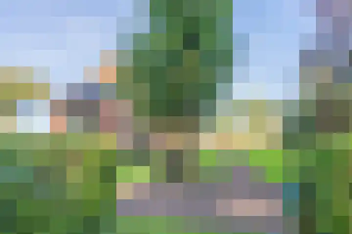 Noorderdiep 29 Stadskanaal thumbnail 8