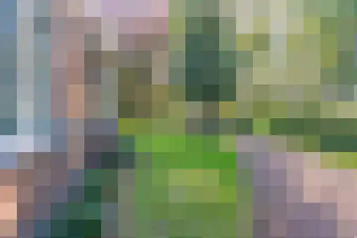 Noorderdiep 29 Stadskanaal thumbnail 9
