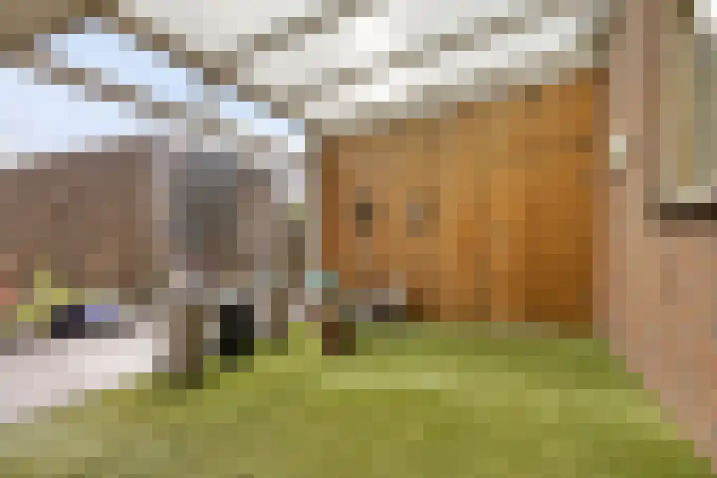 Noorderdiep 298 A Nieuw-Buinen thumbnail 34