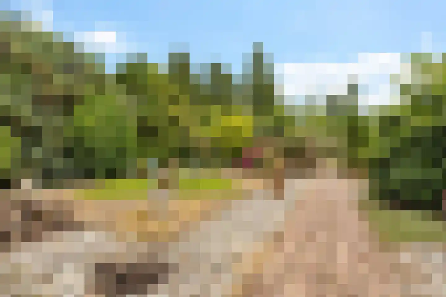 Noorderdiep 298 A Nieuw-Buinen thumbnail 36